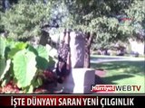 İŞTE SON ÇILGINLIK