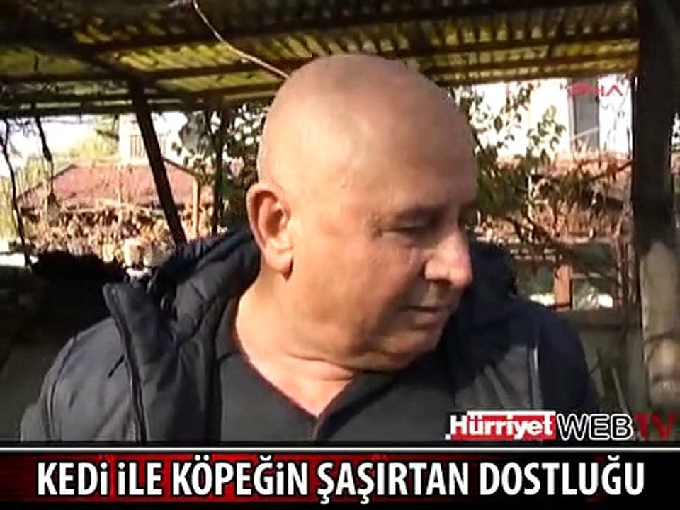 KEDİ İLE KÖPEĞİN MÜTHİŞ DOSTLUĞU