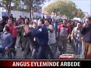 ANGUS EYLEMİNDE ARBEDE