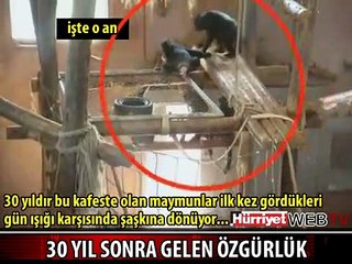 30 YIL SONRA İLK KEZ GÜNEŞİ GÖRDÜLER