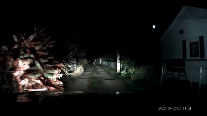 Garage Opening Spooks Deer and it Runs into the Car