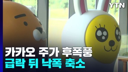 카카오, 급락 뒤 낙폭 축소...증시·환율도 진정세 / YTN