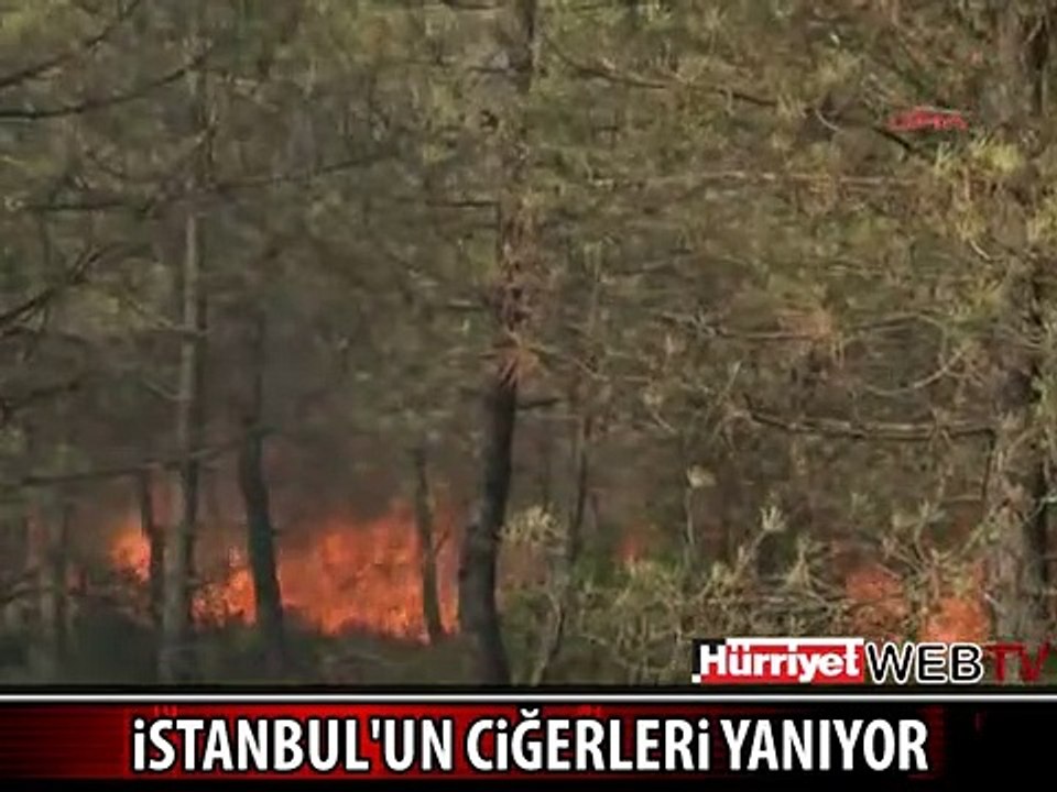 MALTEPE'DEKİ YANGINDAN İLK GÖRÜNTÜLER