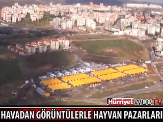 HAVADAN GÖRÜNTÜLERLE HAYVAN PAZARLARI