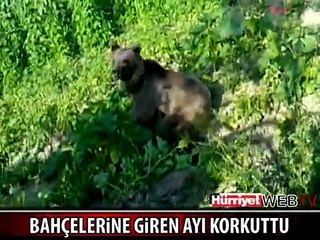 AYIYI GÖREN KÖYLÜLER KORKU DOLU ANLAR YAŞADI