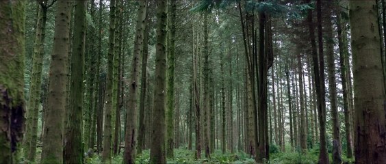 Willow _ Official Teaser Trailer _ Disney