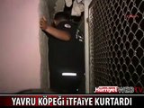 YAVRU KÖPEĞİ BÖYLE KURTARDILAR