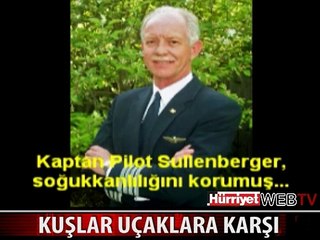 KUŞ UÇAĞA ÇARPINCA BAKIN NE OLUYOR