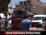 TAVUĞU BÖYLE KURTARDILAR