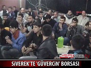SİVEREKLİLERİN GÜVERCİN TUTKUSU