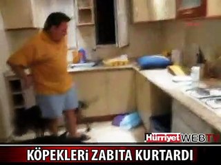 VİCDANSIZ İNGİLİZİN OYUNUNU ZABITA BOZDU