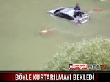 OTOMOBİLİNİN ÜSTÜNE ÇIKARAK KURTARILMAYI BEKLEDİ