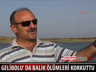 ESRARENGİZ BALIK ÖLÜMLERİ KORKUTTU