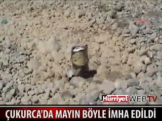 MAYIN İŞTE BÖYLE İMHA EDİLDİ