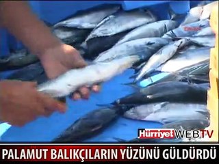 PALAMUT KEFKENLİ BALIKÇILARIN YÜZÜNÜ GÜLDÜRDÜ