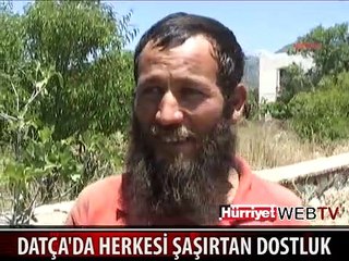DOMUZLA ARKADAŞ OLDU
