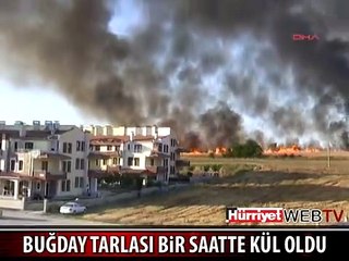 BUĞDAY TARLASI 1 SAATTE KÜL OLDU