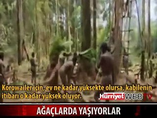 İŞTE AĞAÇLARDA YAŞAYAN İNSANLAR