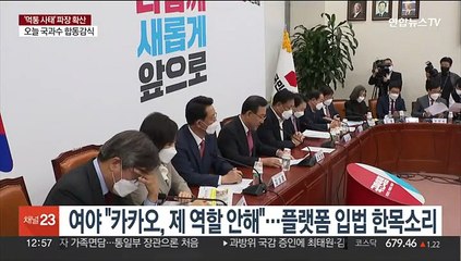 여야 "'독점 지위' 카카오, 제 역할 안해"…플랫폼 입법 한목소리