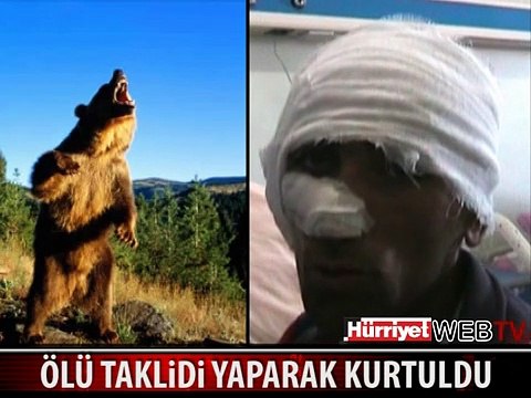 BİR AYI SALDIRISI DAHA