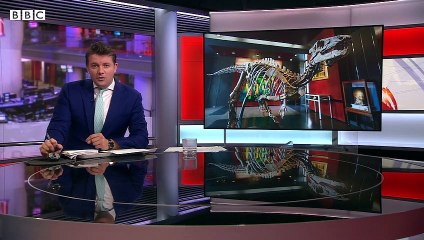 150-million year old dinosaur skeleton to go up for auction