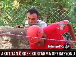 NEFES KESEN ÖRDEK KURTARMA OPERASYONU