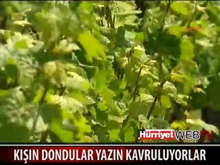 AVRUPA KIŞIN DONDU ŞİMDİ YANIYOR