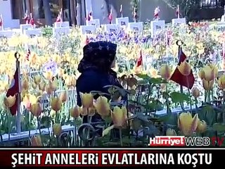 ŞEHİT ANNELERİ EVLATLARINA KOŞTU