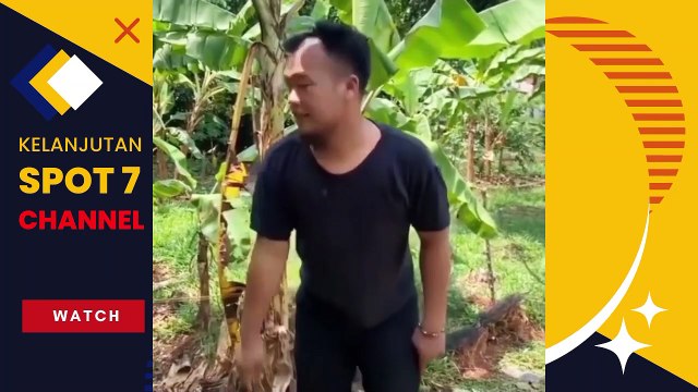 Video Lucu Bikin Ngakak Terbaru 2022 Video Lucu Bikin Ngakak Sakit Perut Kumpulan Video Lucu