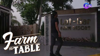 Farm To Table: An amazing farm that you can visit for FREE!