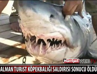 ALMAN TURİSTE KÖPEKBALIĞI SALDIRDI