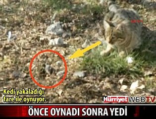 ÖNCE OYNADI SONRA YEDİ