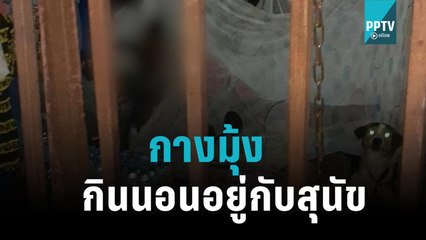 สาวใหญ่ถูกทิ้งให้กินนอนกับสุนัขนานนับ 2 ปี ชาวบ้านวอนให้ความช่วยเหลือ  |เที่ยงทันข่าว|17 ต.ค. 65