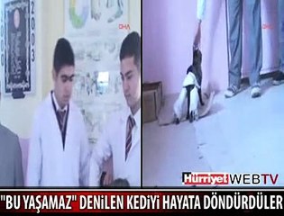 LİSELİLERİN BÜYÜK BAŞARISI