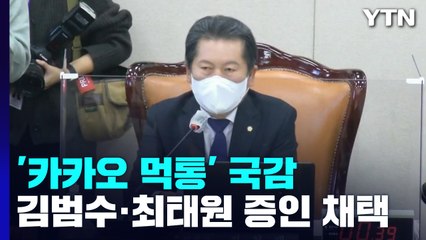 '카카오 먹통' 국감서도 질타...김범수 등 증인 채택 / YTN