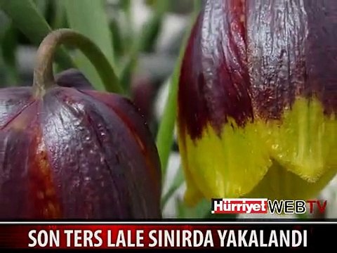 SON TERS LALE SINIRDA YAKALANDI