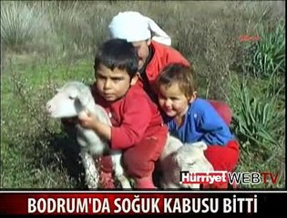 BODRUM'A SICAK HAVA GERİ GELDİ