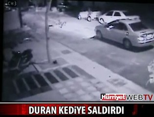 DURUP DURURKEN KEDİYE SALDIRDI