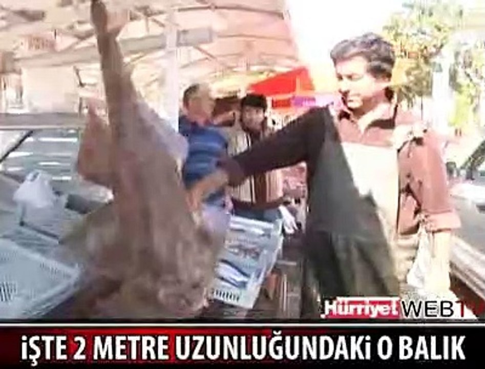 DEV KEMANE BALIĞI ŞAŞIRTTI