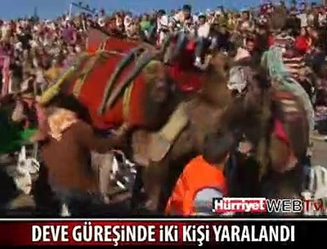 DEVELER SEYİRCİLERİN ARASINA DALDI