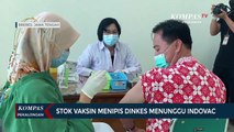 Stok Vaksin Menipis Dinkes Menunggu Indovac