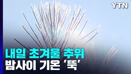 [날씨] 내일 초겨울 추위, 서울 아침 4℃...은빛 억새 물결 / YTN