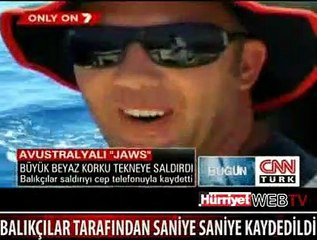 KÖPEK BALIĞI TEKNEYE BÖYLE SALDIRDI