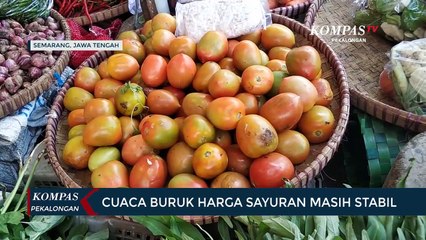 Cuaca Buruk Harga Sayuran Masih Stabil