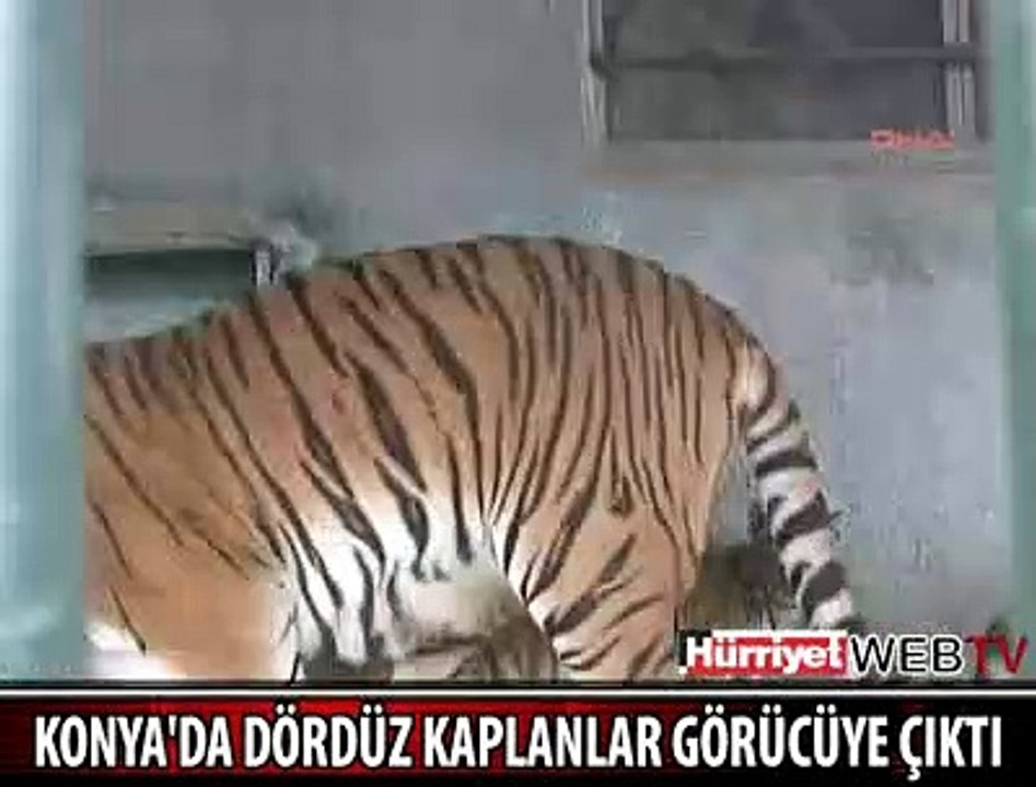 KONYA'NIN MASKOTU OLDULAR