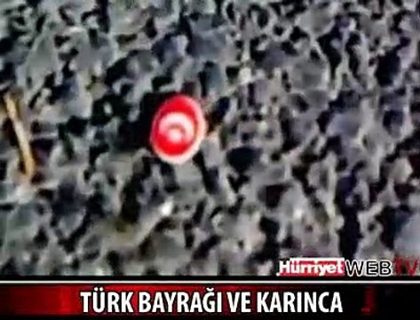 KARINCALARIN TÜRK BAYRAĞI SEVGİSİ