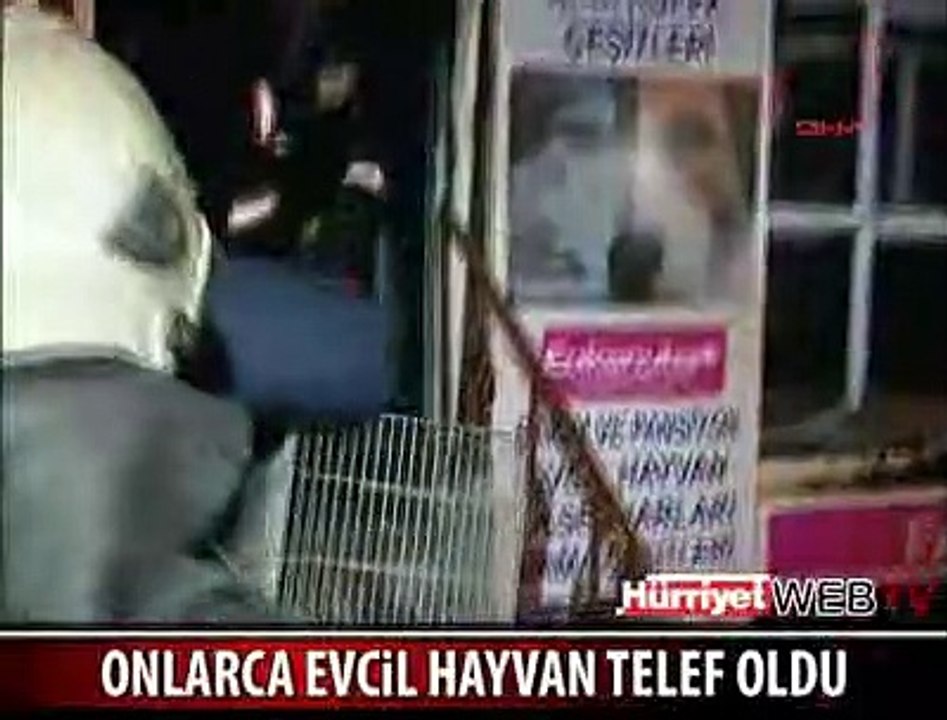 ONLARCA HAYVAN TELEF OLDU