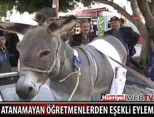 ÖĞRETMENLERDEN EŞEKLİ EYLEM