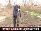 DEV FARE GÖRENLERİ ŞAŞIRTTI