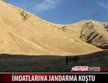 3 SAATLİK OPERASYONLA KURTARILDILAR